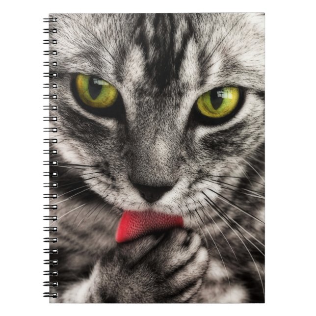 Caderno Espiral Cat Lick (Frente)
