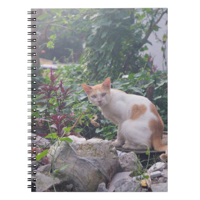 Caderno Espiral Cat Sentado em Rubbles (Frente)