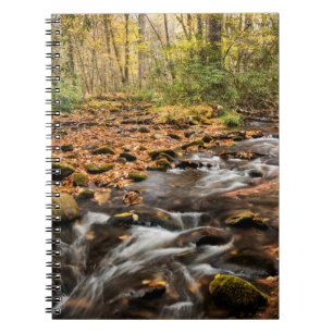 Caderno Espiral Cataloochee Creek NC Grandes Montanhas Fumosas