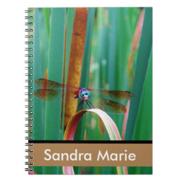Caderno Espiral Catapultas de Dragonfly de Olho Teal Personalizado