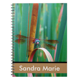 Caderno Espiral Catapultas de Dragonfly de Olho Teal Personalizado