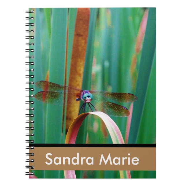 Caderno Espiral Catapultas de Dragonfly de Olho Teal Personalizado (Frente)