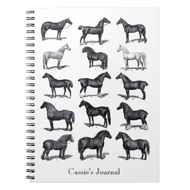 Caderno Espiral Cavaleiro equestre Vintage personalizado (Frente)