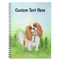 Cavaleiro Personalizado King Charles Spaniel