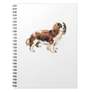 Caderno Espiral Cavalier King Charles Spaniel