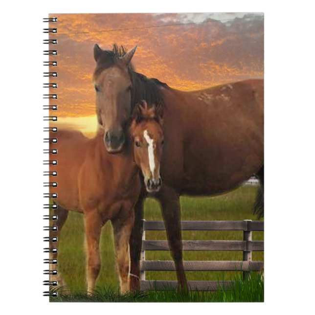 Caderno Espiral Cavalo (Frente)