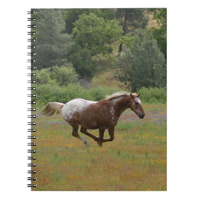 Caderno Espiral Cavalo Appaloosa (Frente)