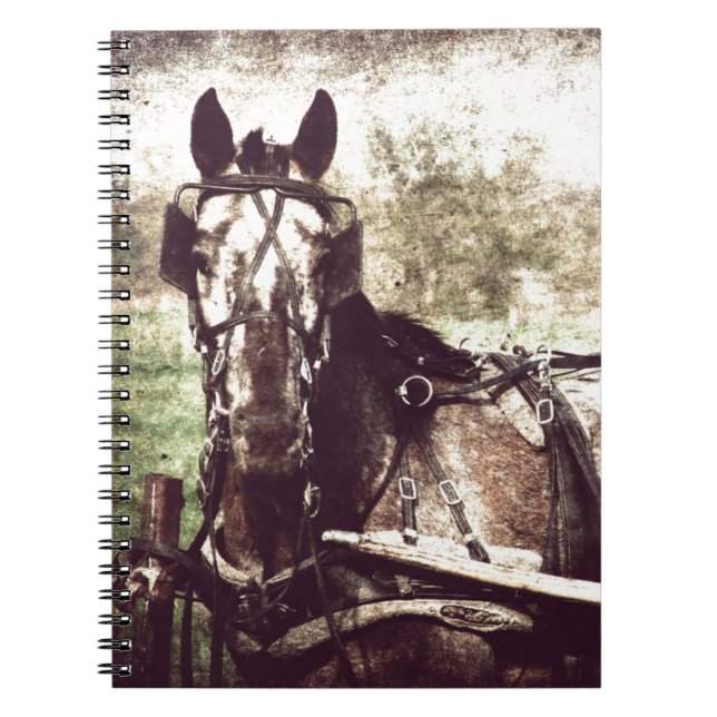 Caderno Espiral Cavalo Appaloosa (Frente)