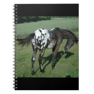 Caderno Espiral Cavalo Appaloosa