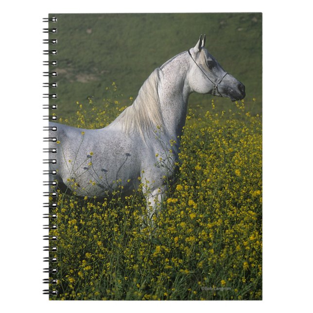 Caderno Espiral Cavalo árabe que está nas flores (Frente)