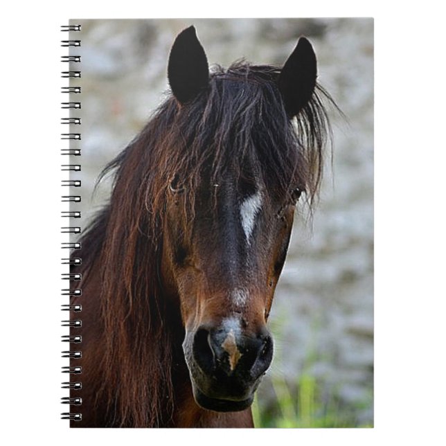 Caderno Espiral Cavalo bonito de Brown (Frente)