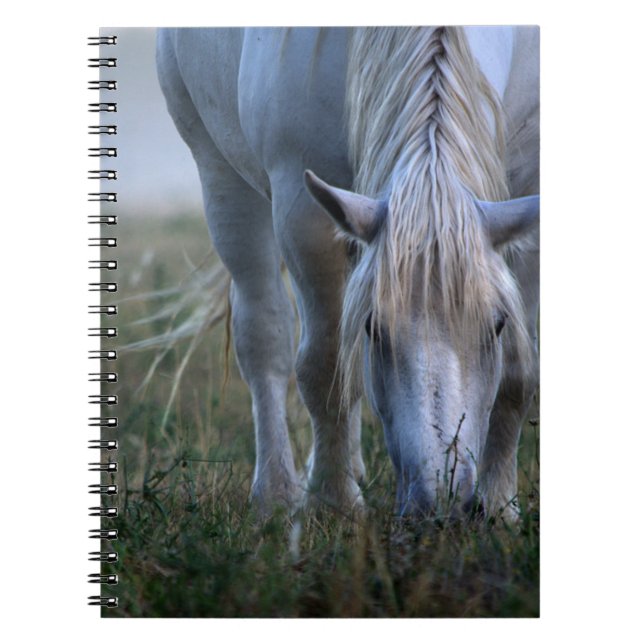 Caderno Espiral Cavalo branco (Frente)