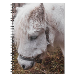 CADERNO ESPIRAL CAVALO BRANCO