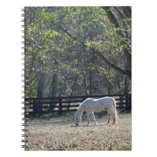 Caderno Espiral Cavalo Branco em árvores