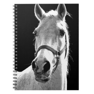 Caderno Espiral Cavalo Branco Preto Close-up à Noite