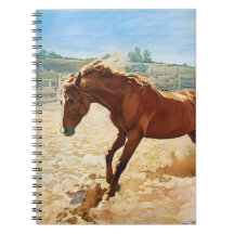 "Cavalo Brincalhão" Por Esorada