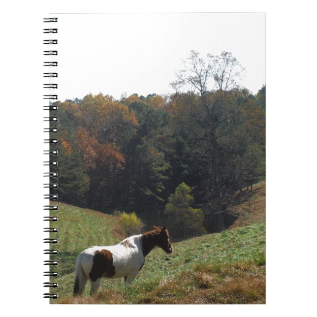 Caderno Espiral Cavalo castanho e branco na lagoa de outono (Frente)