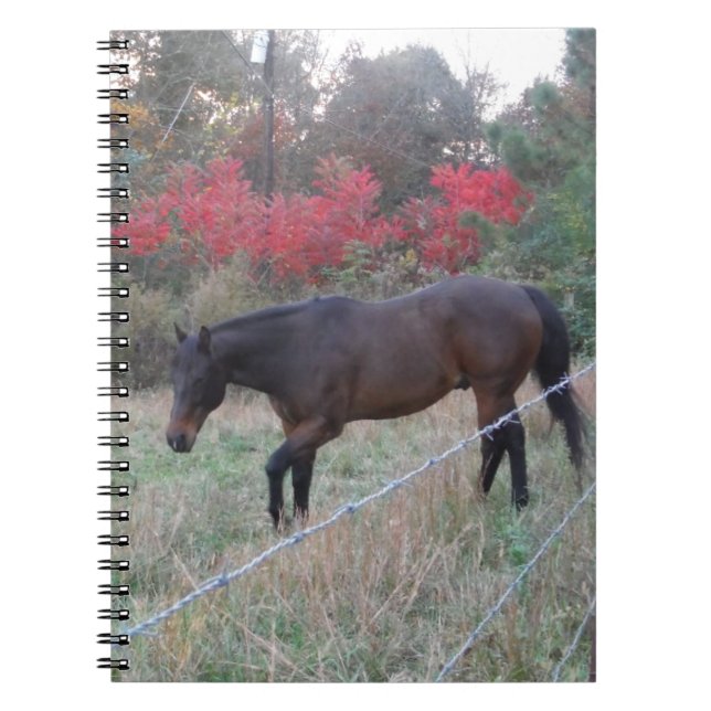 Caderno Espiral Cavalo castanho nas árvores vermelhas do outono (Frente)