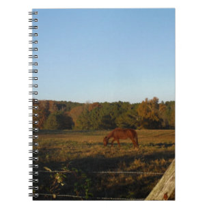 Caderno Espiral Cavalo castanho no Sol