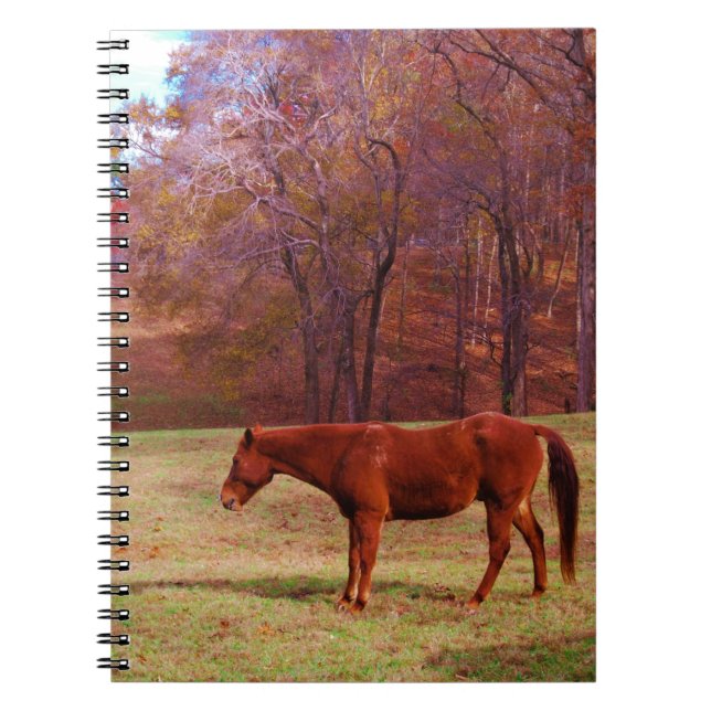 Caderno Espiral Cavalo castanho num campo de grama (Frente)