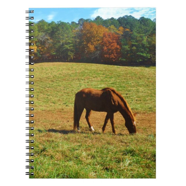 Caderno Espiral Cavalo Castanho Vermelho nas árvores do outono (Frente)