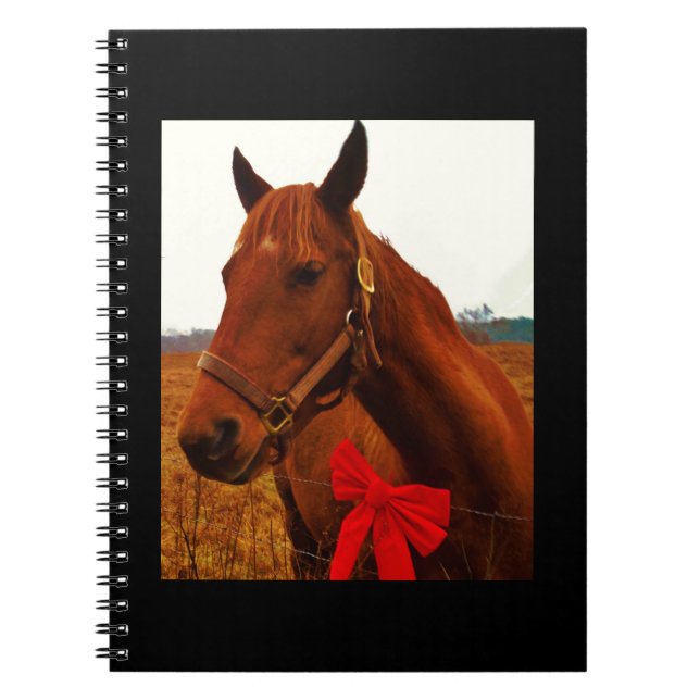 Caderno Espiral Cavalo com Arco Vermelho (Frente)