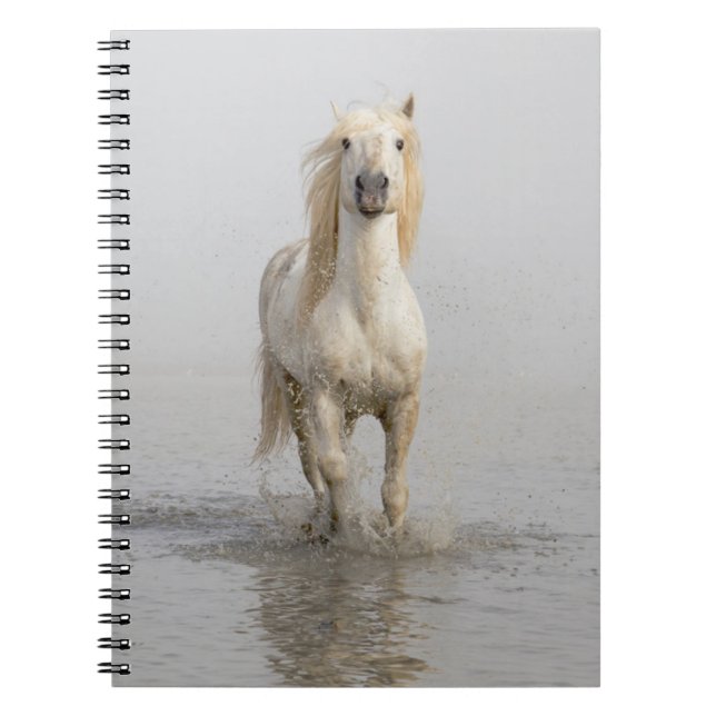Caderno Espiral Cavalo de Camargue Correndo na Água (Frente)