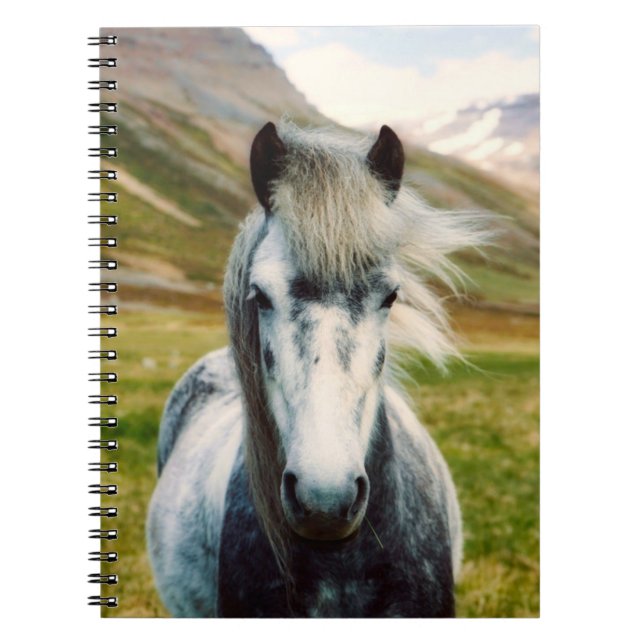 Caderno Espiral Cavalo de Cinza selvagem nas montanhas (Frente)