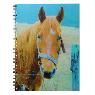 Caderno Espiral Cavalo de cor azul Denim