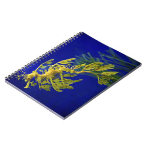 Caderno Espiral Cavalo de mar
