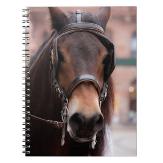 Caderno Espiral Cavalo de pontes
