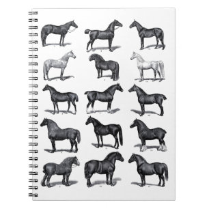 Caderno Espiral Cavalo de Vintagem Equestre Negro Elegante