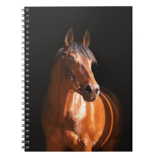 Caderno Espiral cavalo desportivo no preto