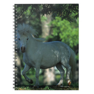 Caderno Espiral Cavalo diminuto que está nas árvores