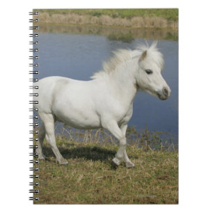 Caderno Espiral Cavalo diminuto que funciona perto da água