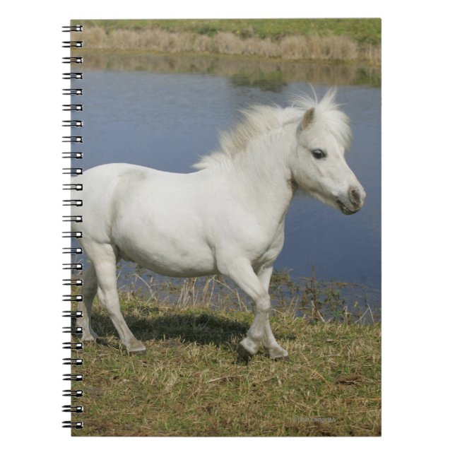Caderno Espiral Cavalo diminuto que funciona perto da água (Frente)