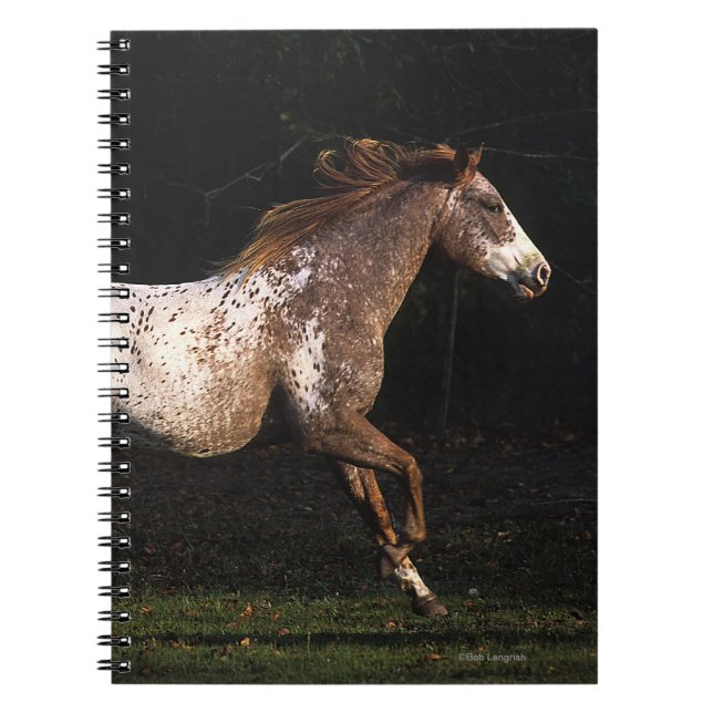 Caderno Espiral Cavalo do Appaloosa que funciona 4 (Frente)