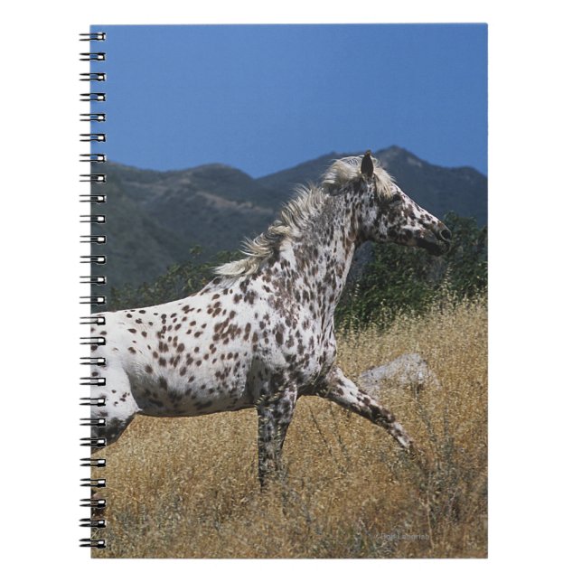 Caderno Espiral Cavalo do Appaloosa que funciona acima a montanha (Frente)