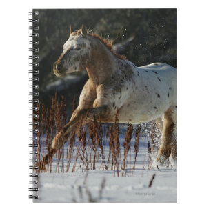 Caderno Espiral Cavalo do Appaloosa que funciona na neve