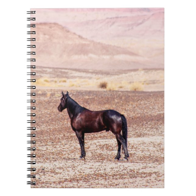 Caderno Espiral Cavalo do Deserto P8664 (Frente)