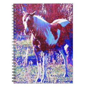 Caderno Espiral Cavalo do Pinto