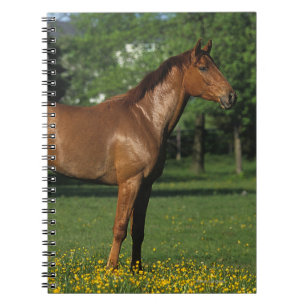Caderno Espiral Cavalo do puro-sangue nas flores