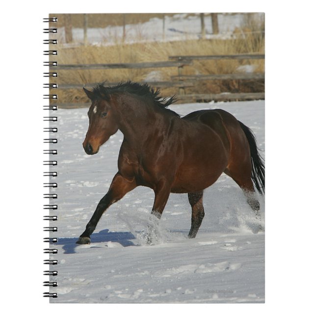 Caderno Espiral Cavalo do puro-sangue que funciona na neve (Frente)