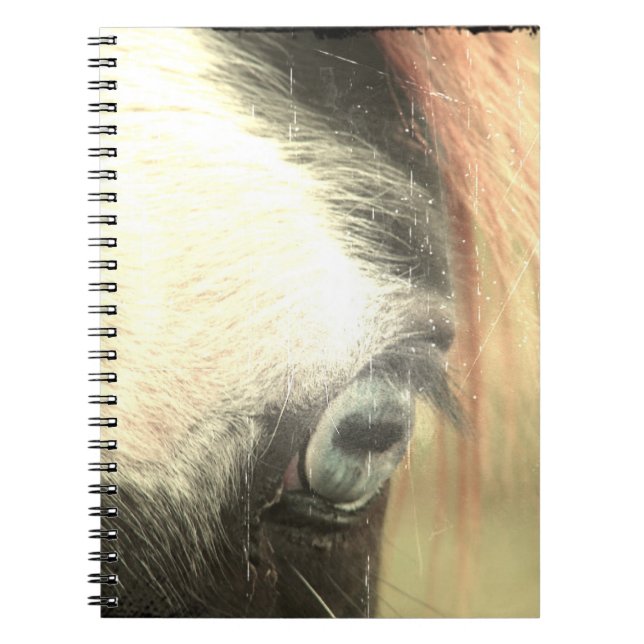 Caderno Espiral Cavalo Grunge de Olhos Azuis (Frente)