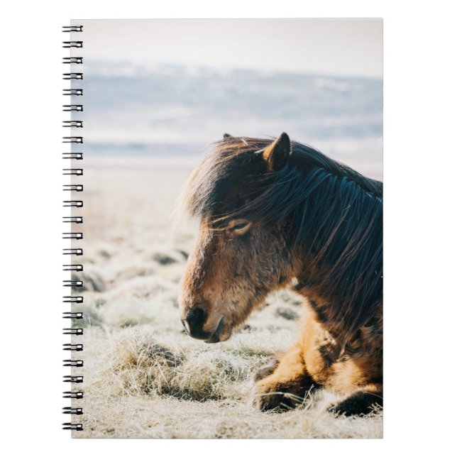 CADERNO ESPIRAL CAVALO MARAVILHOSO SENTADO NA GRAMA PERTO DA PRAIA (Frente)