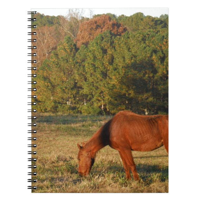 Caderno Espiral Cavalo Marrom com Pinheiros (Frente)