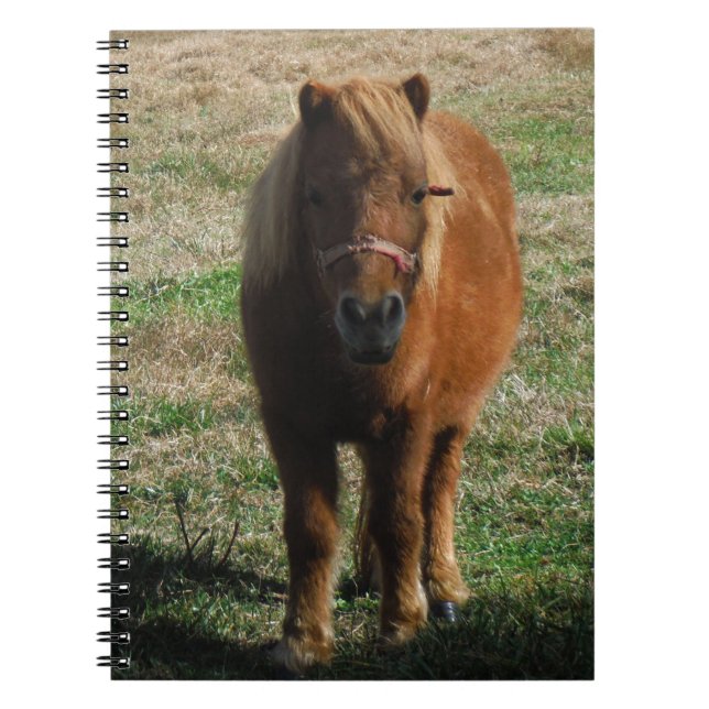 Caderno Espiral Cavalo miniatura castanho (Frente)