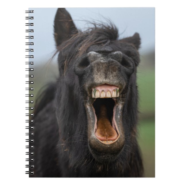 Caderno Espiral Cavalo Mostrando Os Dentes (Frente)