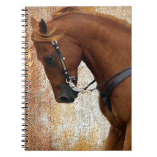 Caderno Espiral Cavalo Ocidental Sorrel Grunge
