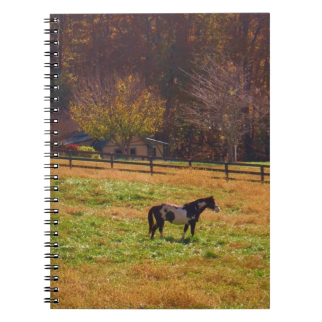 Caderno Espiral Cavalo Pintado à Distância (Frente)